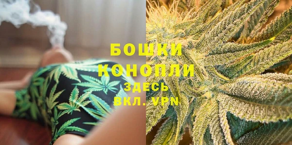 шишки Богданович