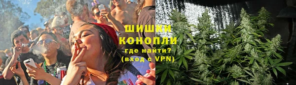 ECSTASY Богородицк